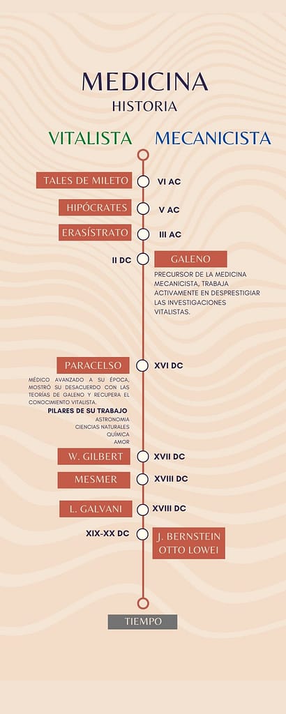 Make Up Shop Order Process Timeline Infographic