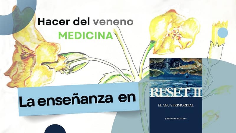 Conoce la novela